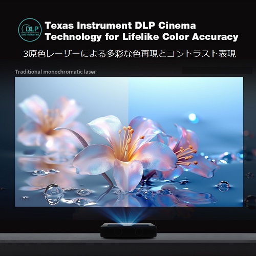 Texas Instruments(テキサス・インストロメンツ)社の高精細DMDパネルを搭載。